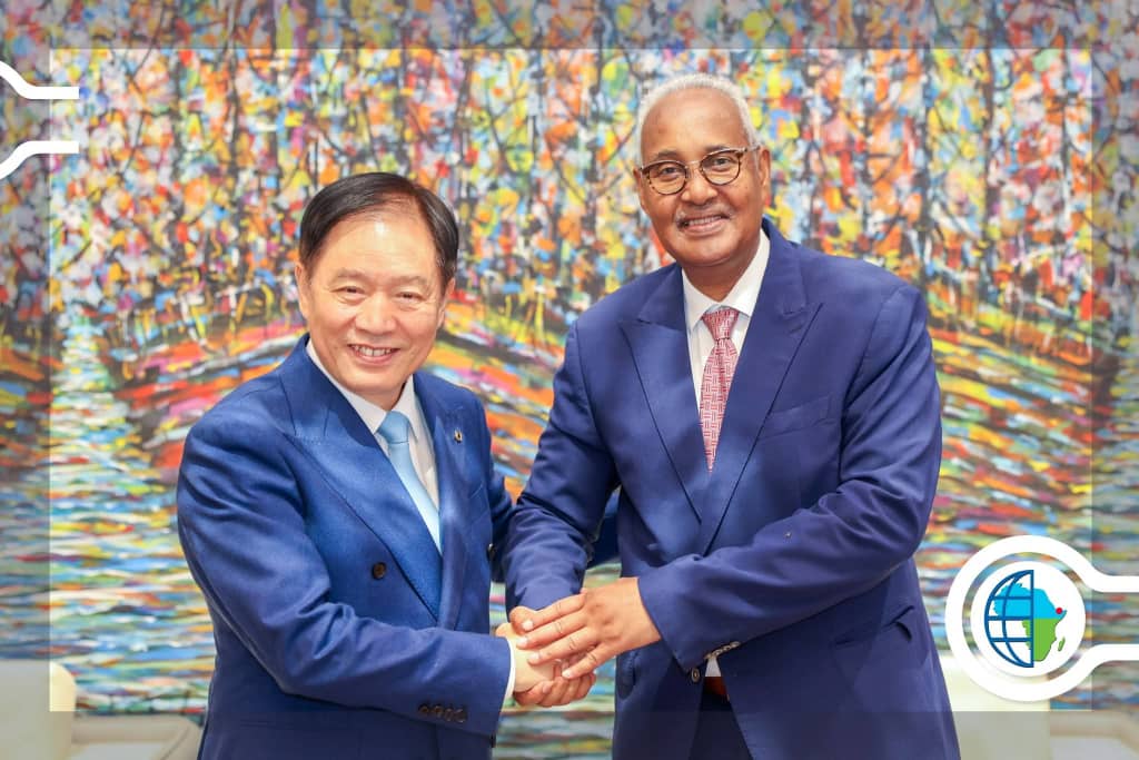 Aboubakerr Omar Hadi et le président du groupe chinois GCL font le point sur les grands projets de développement en cours dans les secteurs énergétique et industriel