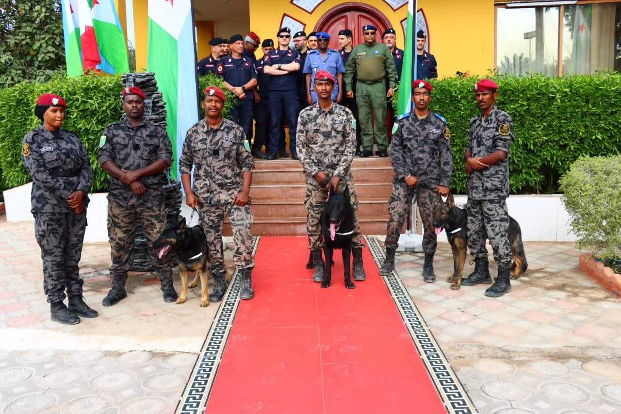 Police nationale : trois bergers allemands remis au RAID par les carabiniers italiens