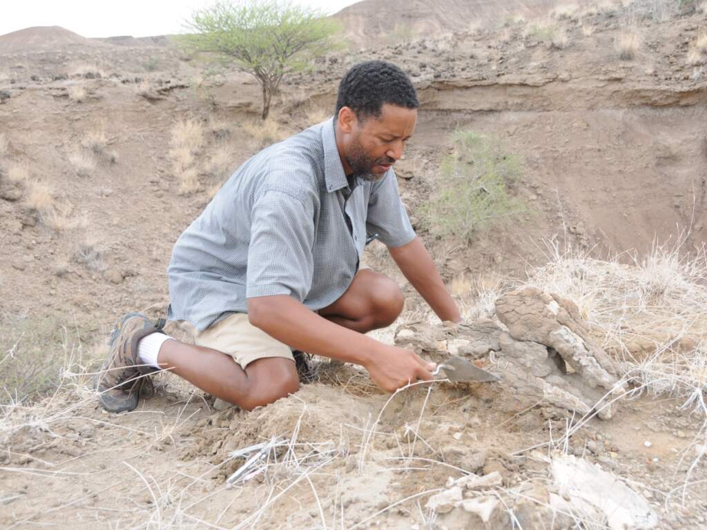 Une espèce d’hommes contemporaine à Lucy